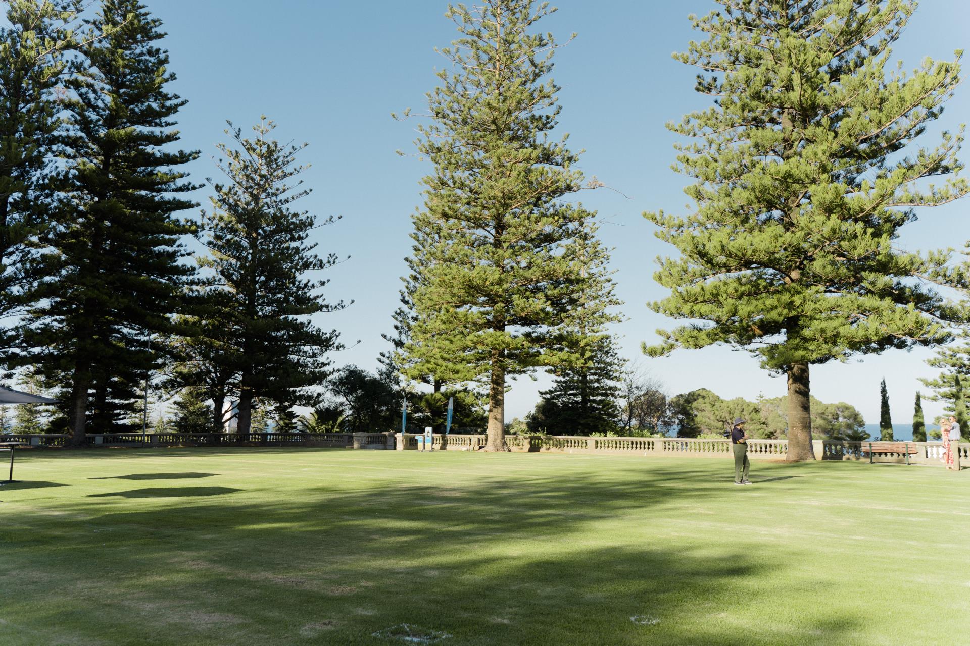 Main Lawn Image