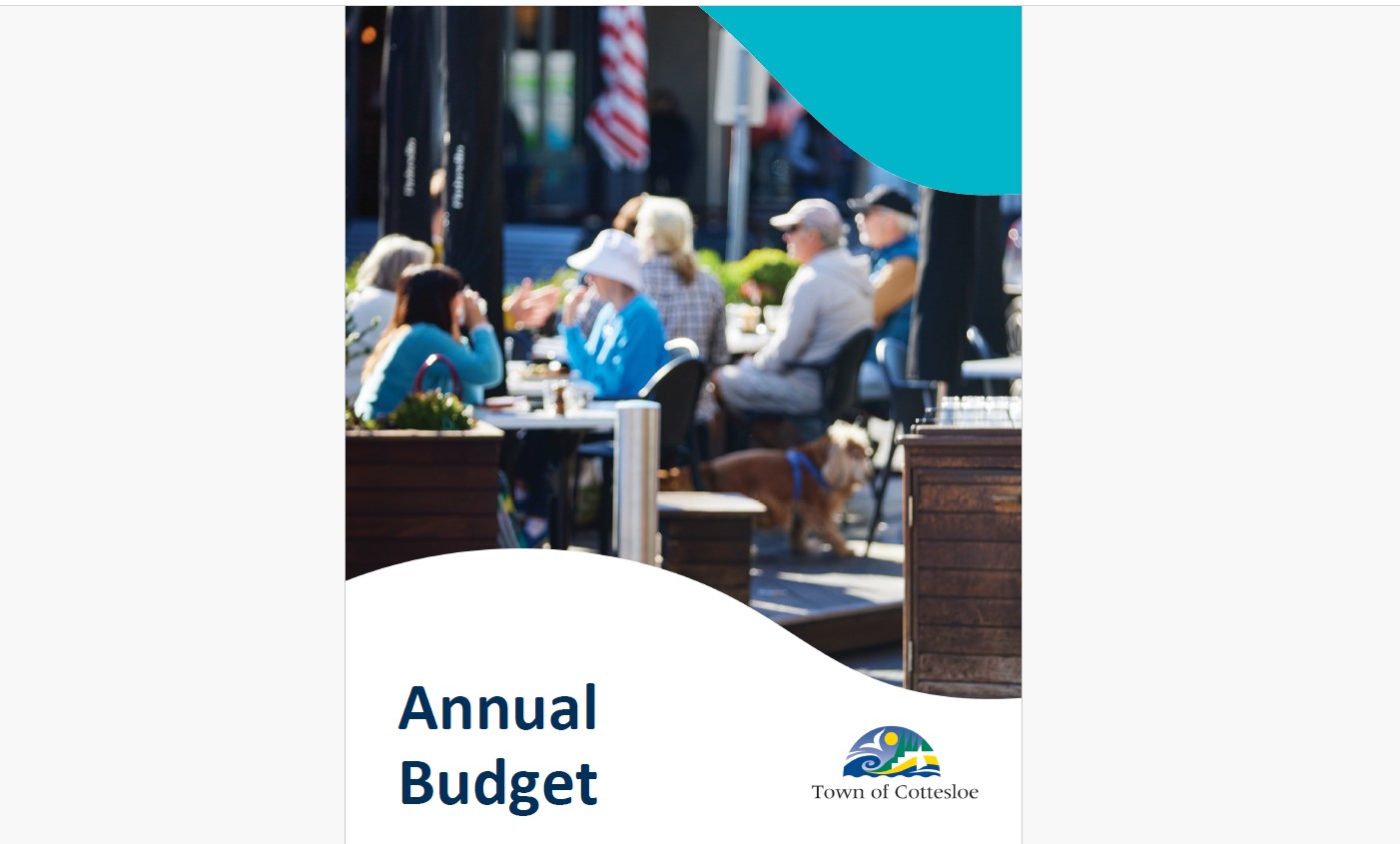 Annual Budget Image