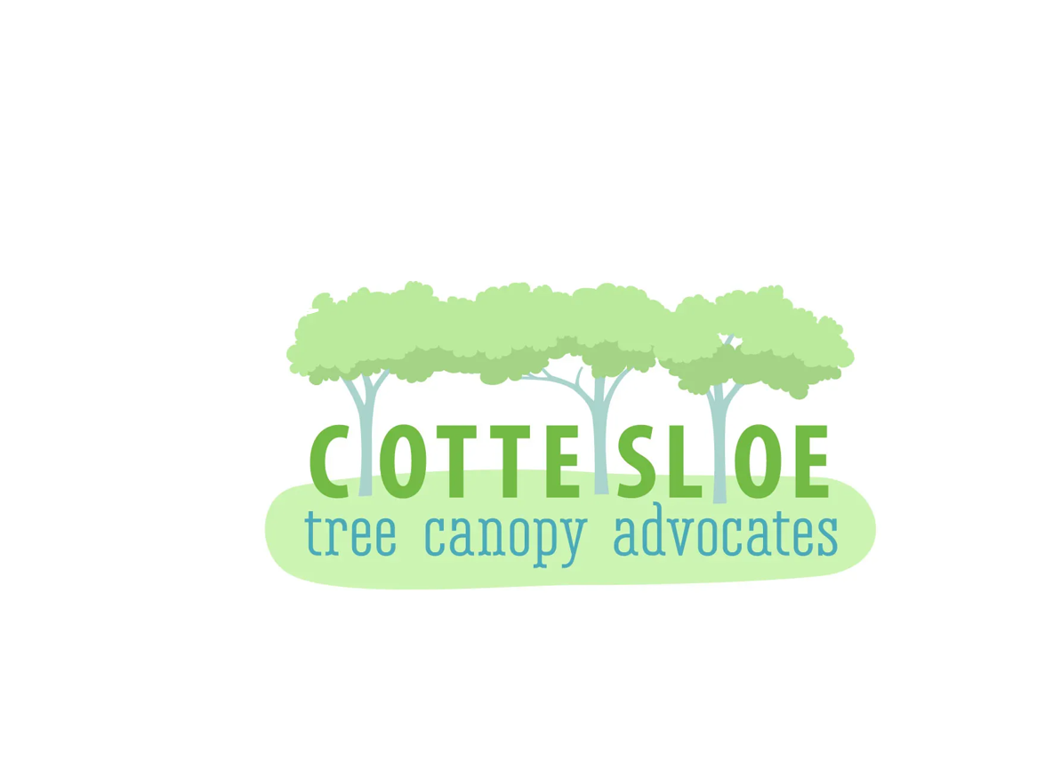 Cottesloe Tree Canopy Advocates Image