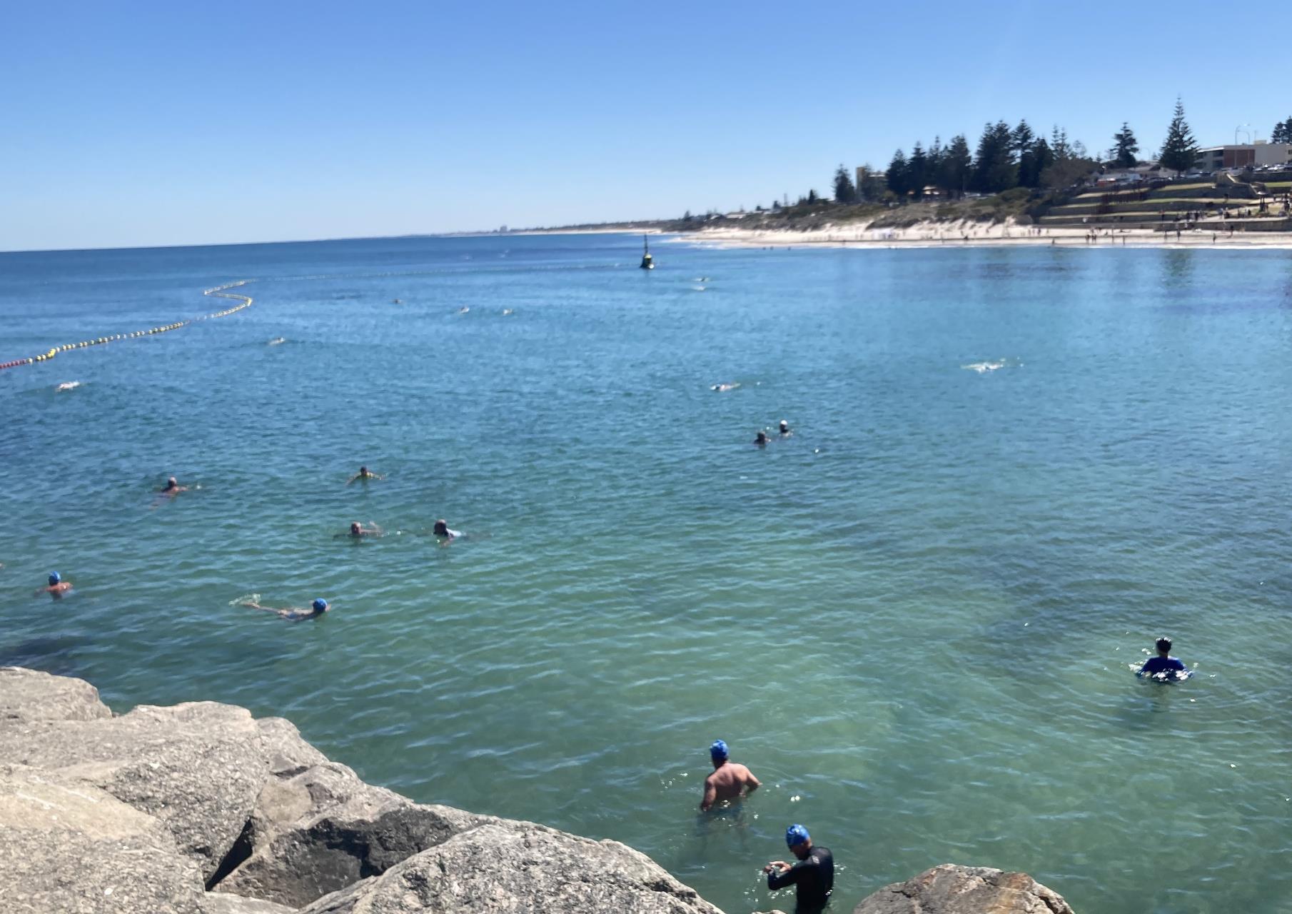 STATE GOVERNMENT TO FUND REPLACEMENT SHARK BARRIER FOR COTTESLOE MAIN BEACH