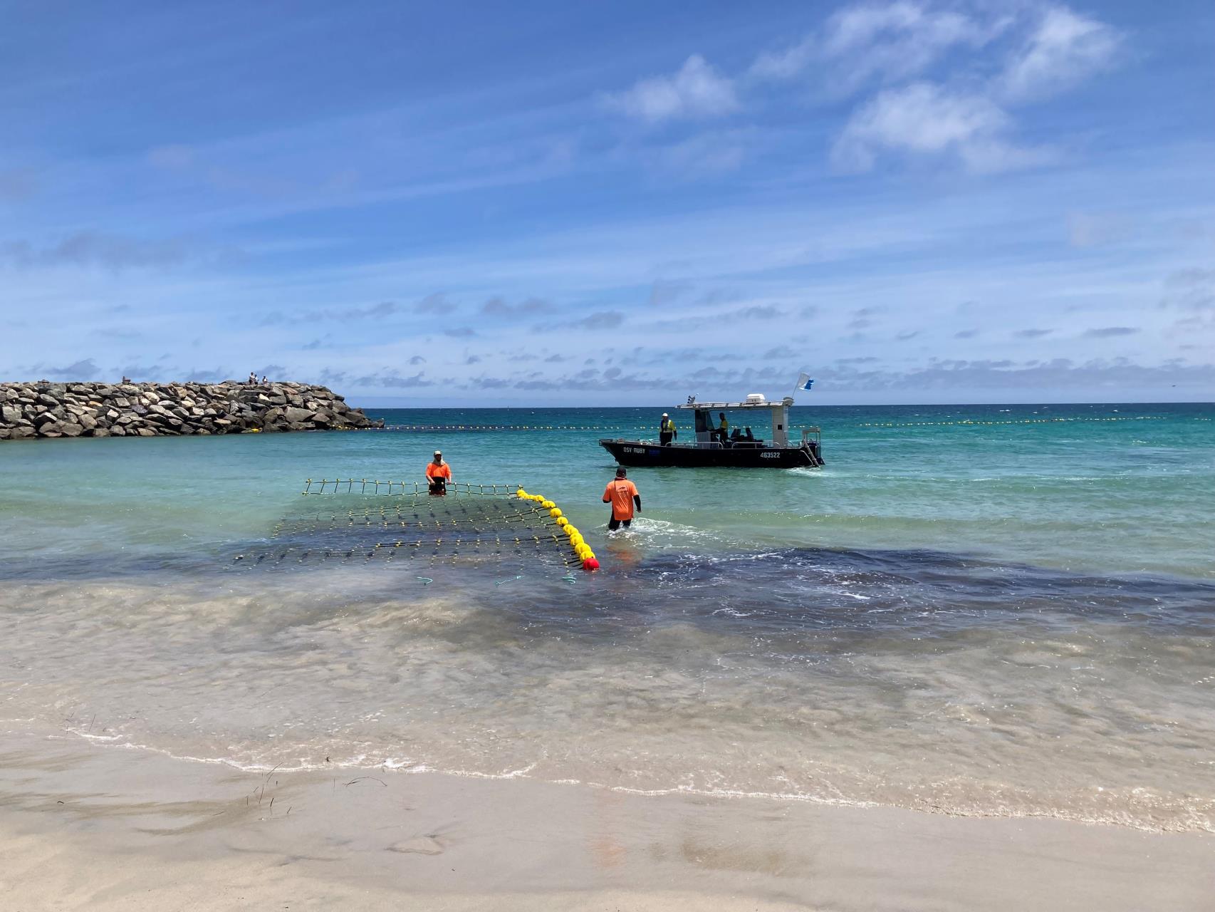 New Cottesloe Shark Barrier installed for summer