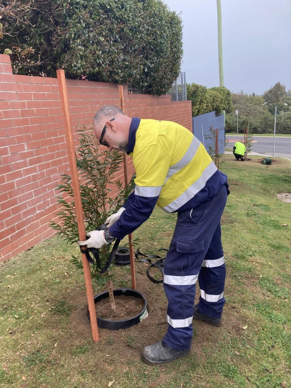 Urban Greening Grant Funding